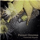 Pursuit Grooves - Frantically Hopeful